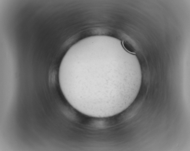 X0000111370071200907311041