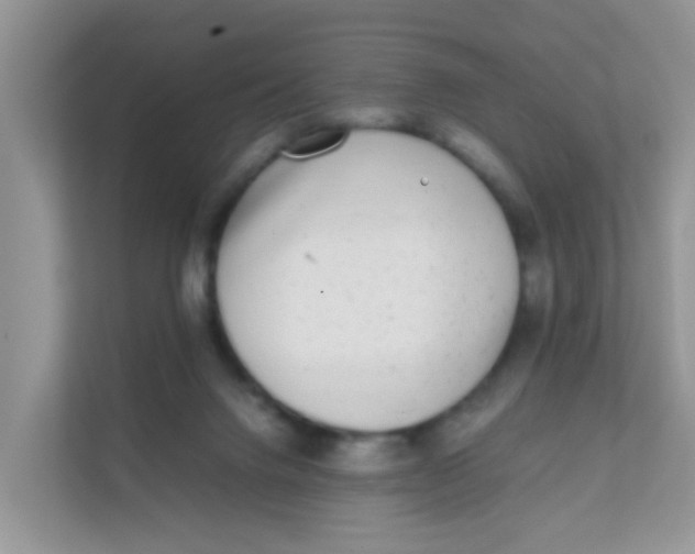 X0000111370072200907311041
