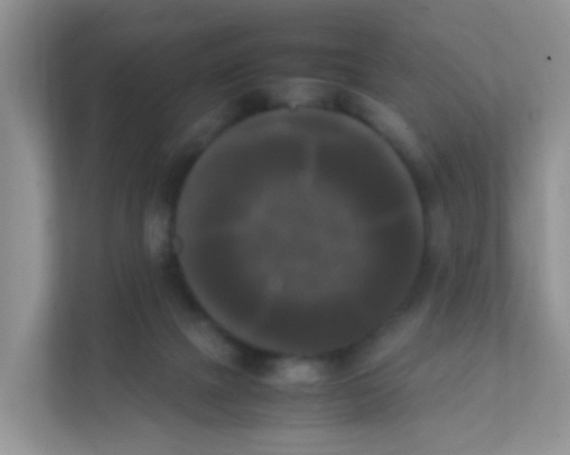 X0000111370073200907311041