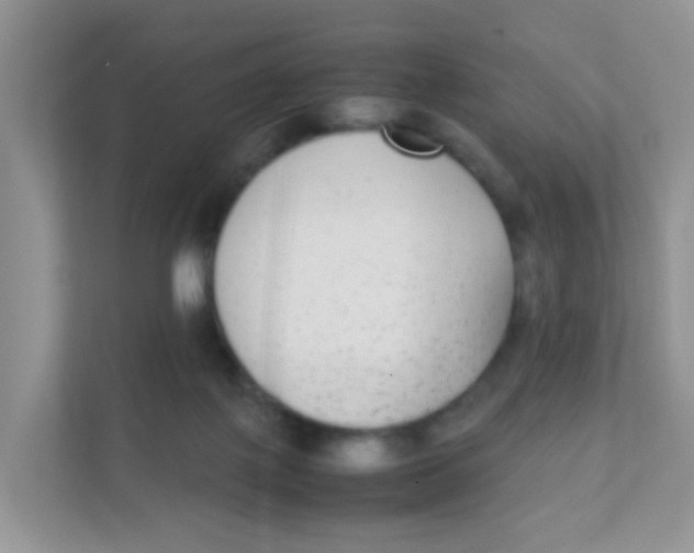 X0000111370075200907311041