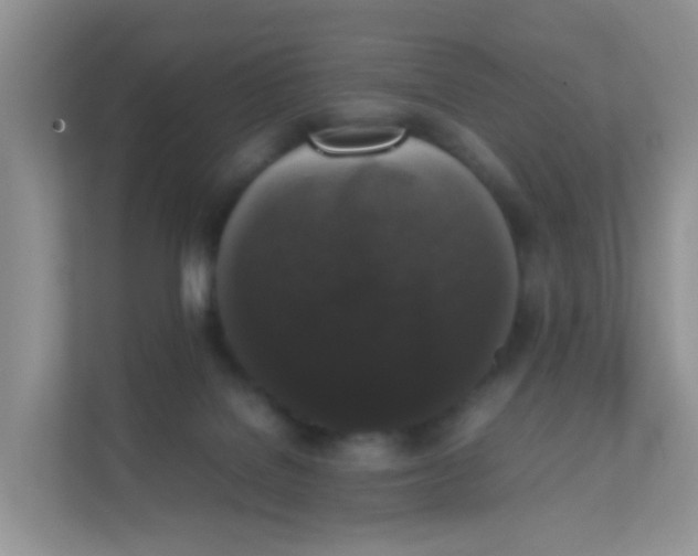 X0000111370076200907311042