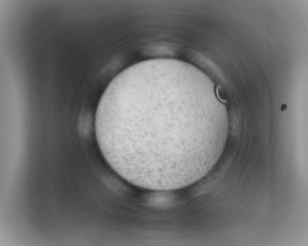 X0000111370077200907311042