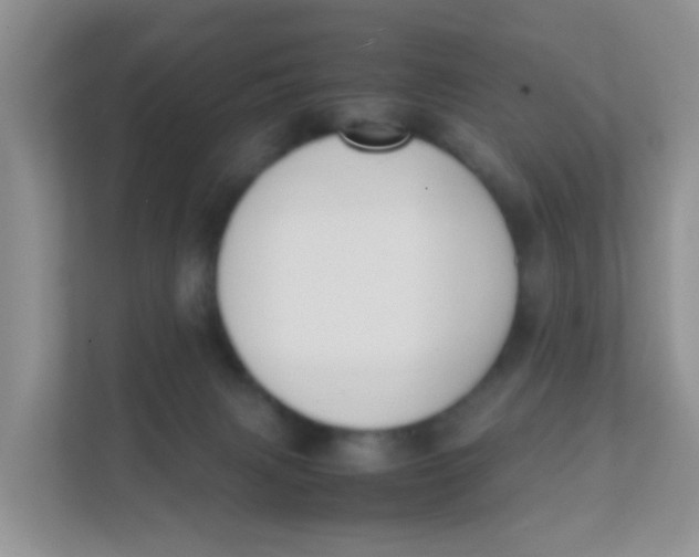 X0000111370079200907311042