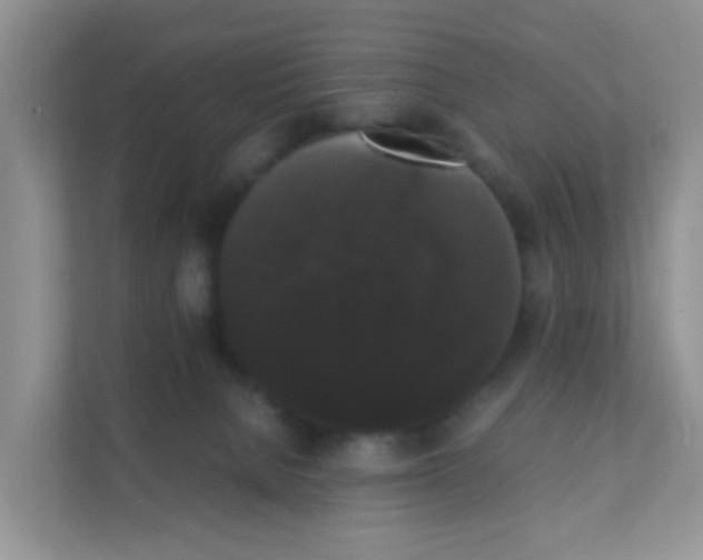 X0000111370080200907311042
