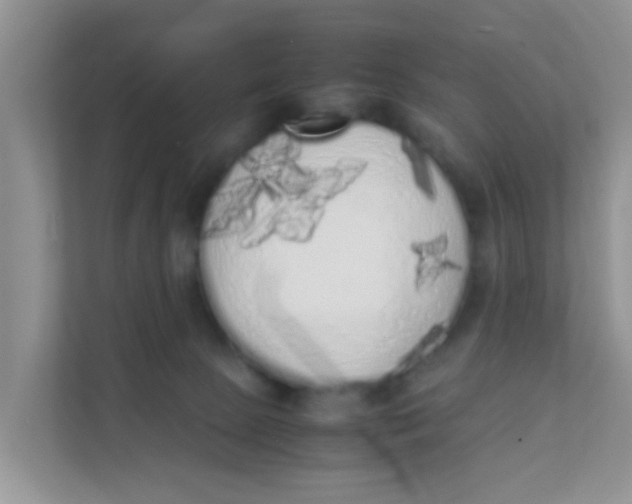 X0000111370081200907311042