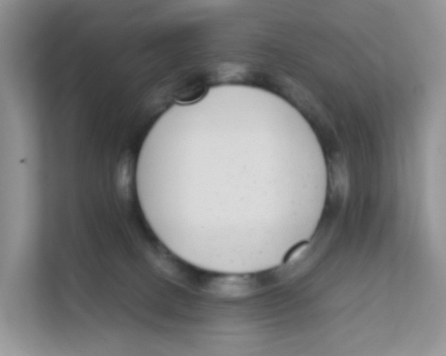 X0000111370082200907311042