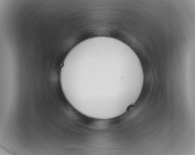 X0000111370084200907311042