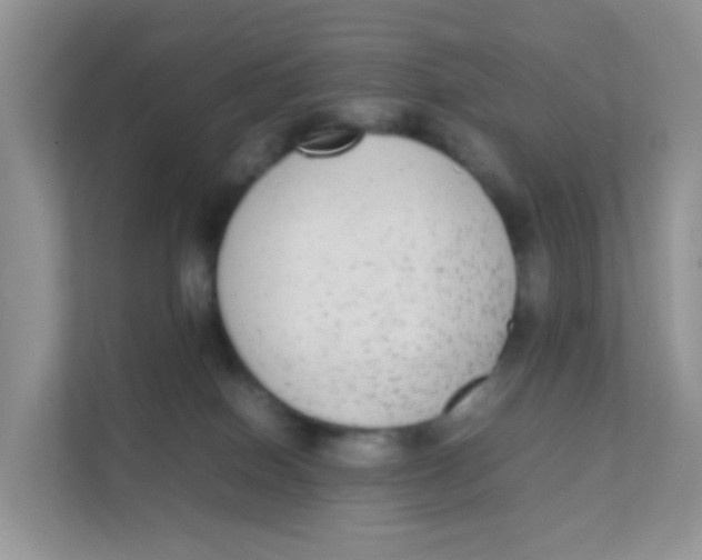 X0000111370086200907311042