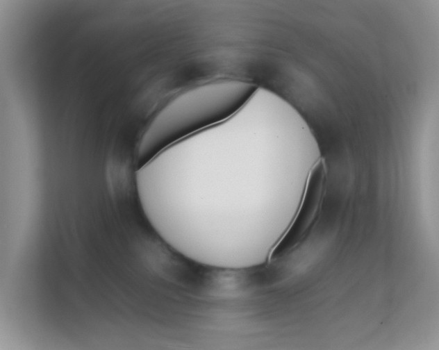 X0000111370088200907311042