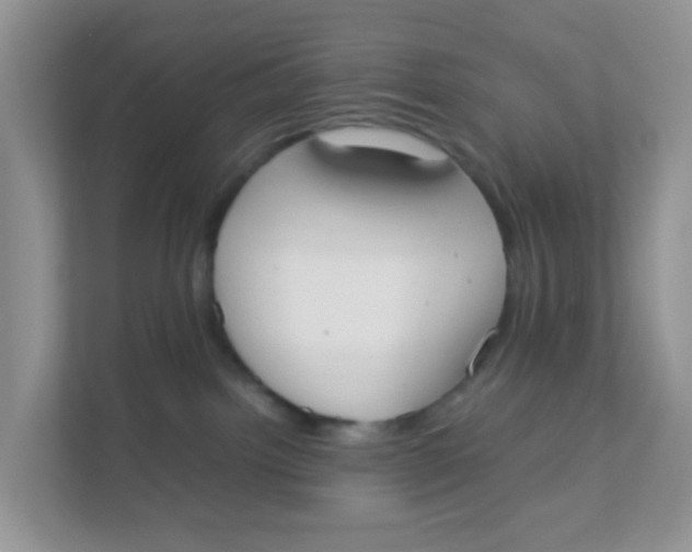 X0000111370092200907311042