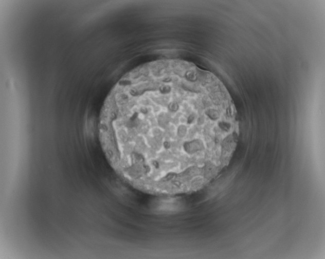 X0000111370093200907311042