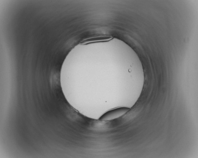 X0000111370096200907311042