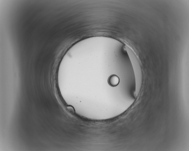 X0000111370097200907311041