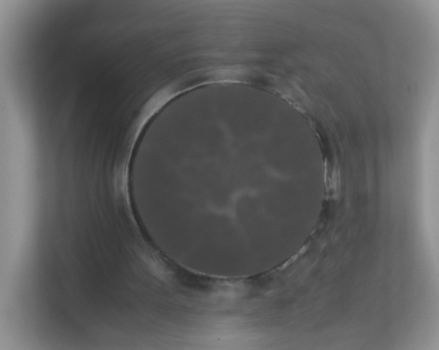 X0000111370099200907311041