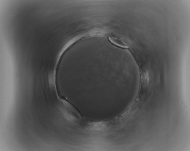 X0000111370100200907311041
