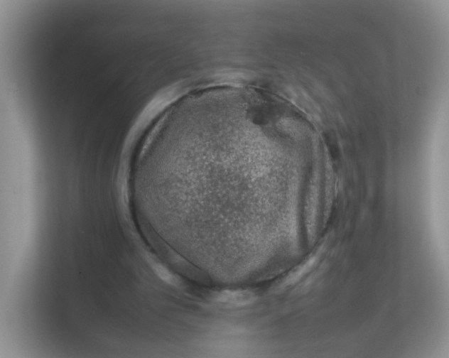 X0000111370101200907311041