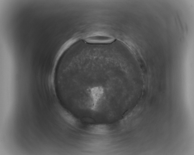 X0000111370104200907311041