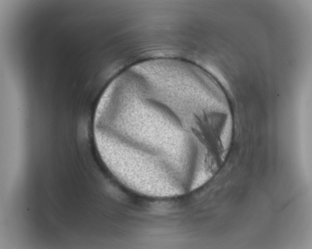 X0000111370105200907311041