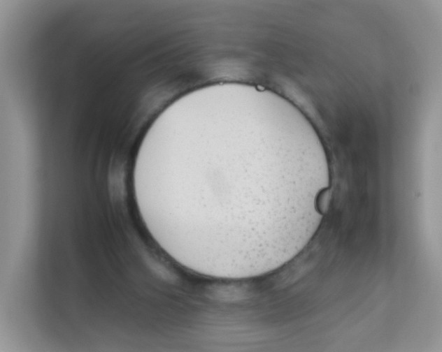 X0000111370106200907311041