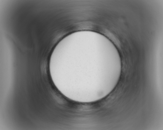 X0000111370107200907311041