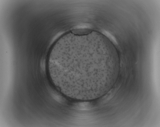 X0000111370108200907311041