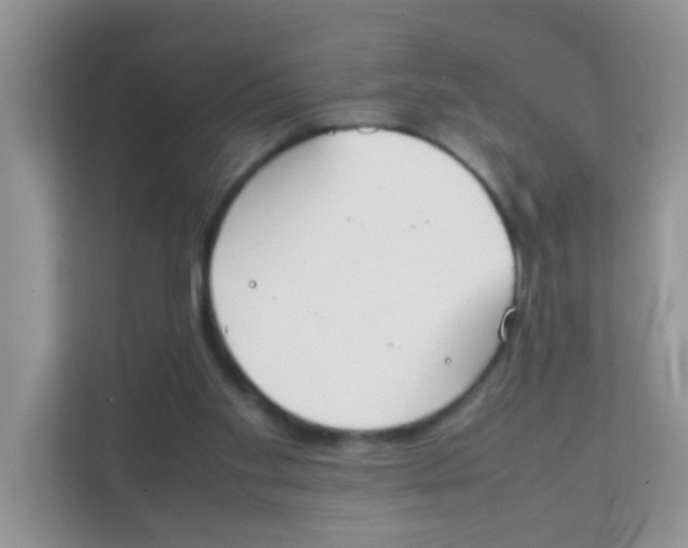 X0000111370109200907311041