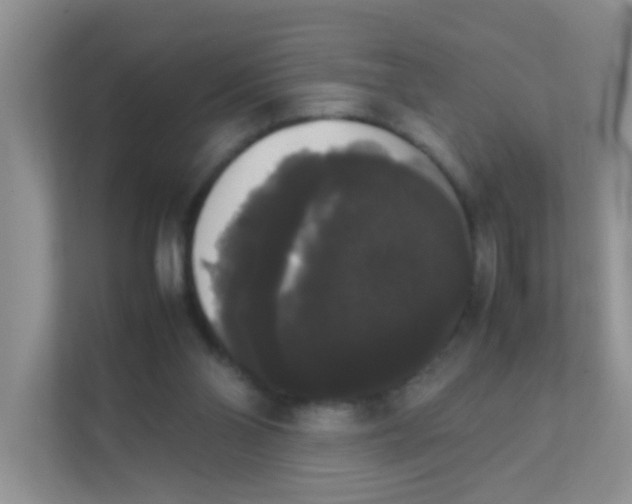 X0000111370110200907311041