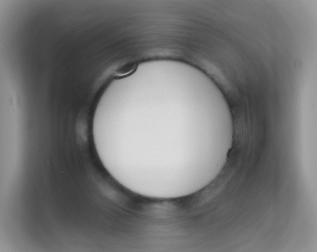 X0000111370112200907311041