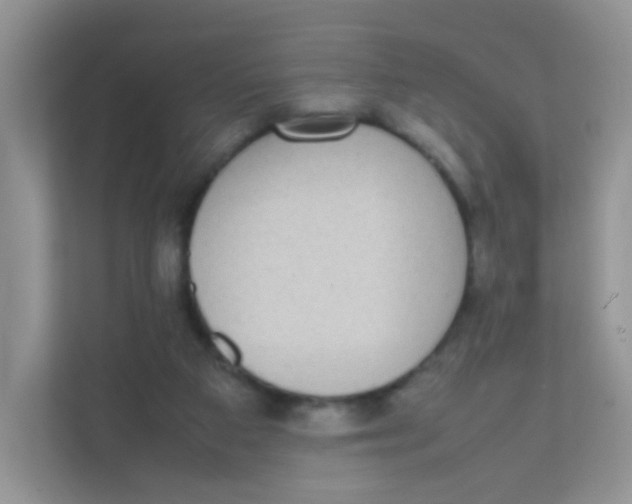 X0000111370113200907311041