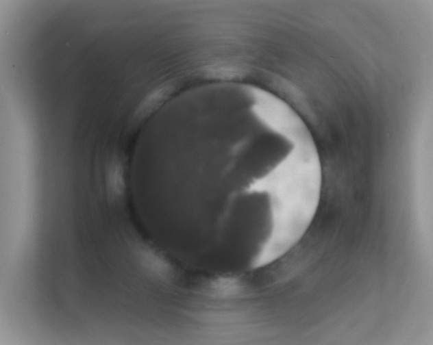 X0000111370114200907311041