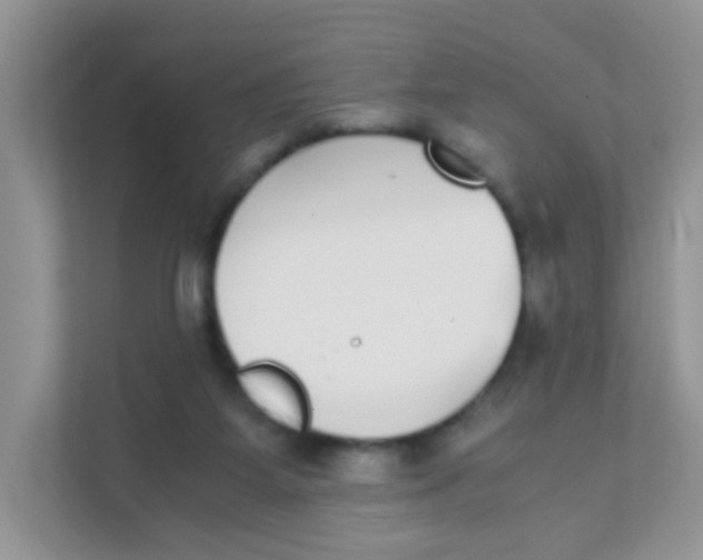 X0000111370115200907311041