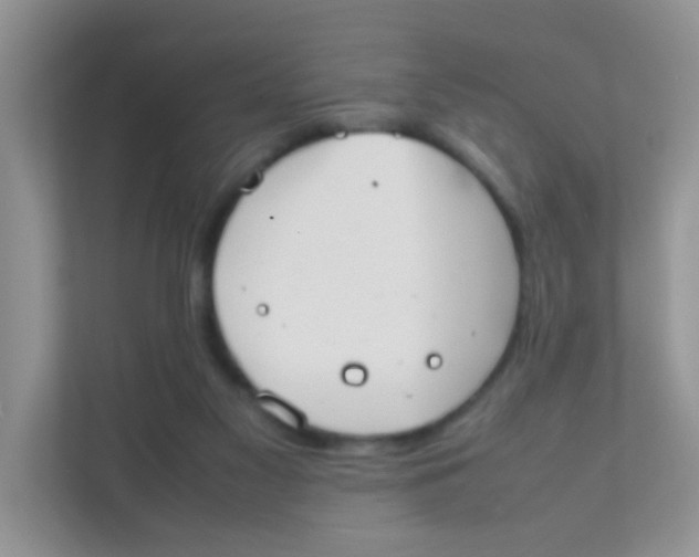 X0000111370117200907311041