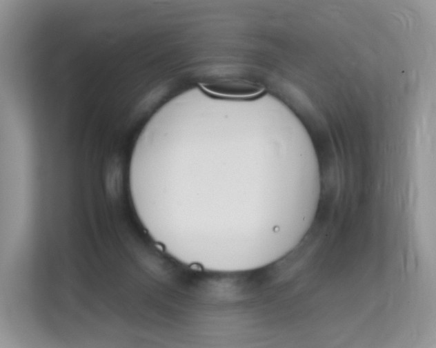 X0000111370120200907311041