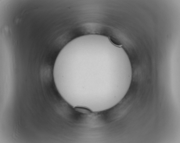 X0000111370121200907311041