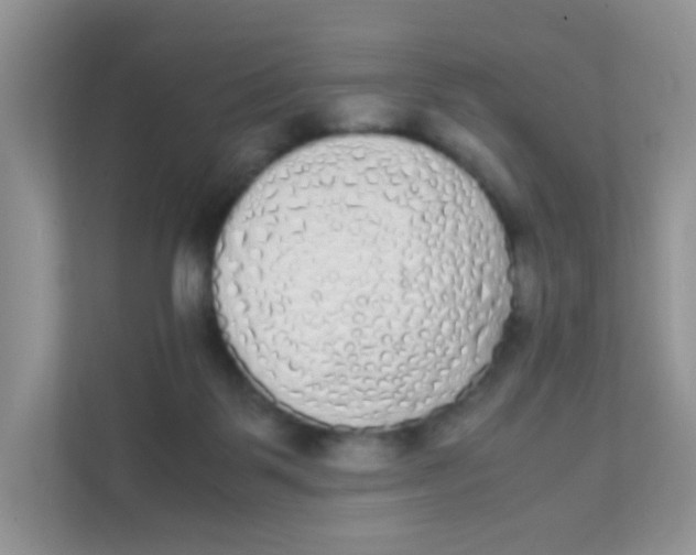 X0000111370123200907311041
