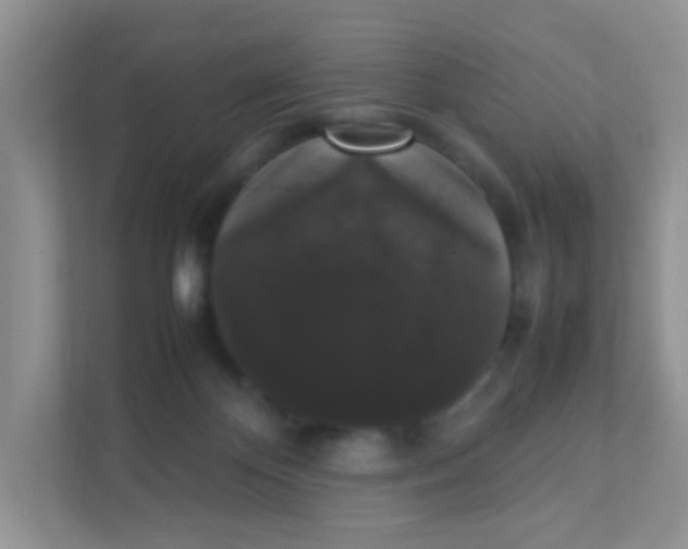 X0000111370124200907311041