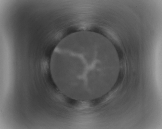 X0000111370127200907311041