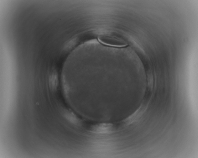X0000111370128200907311041