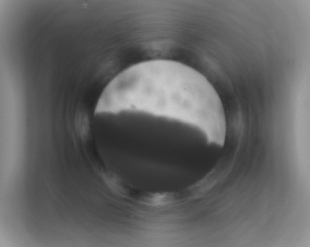 X0000111370130200907311041