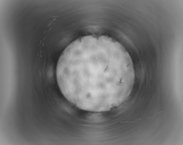 X0000111370132200907311041