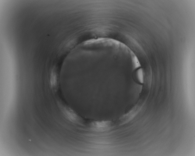 X0000111370134200907311041