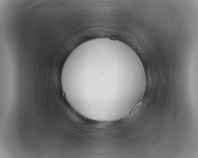 X0000111370136200907311041