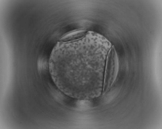 X0000111370137200907311041