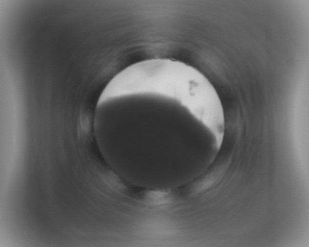 X0000111370139200907311041