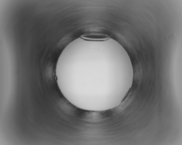 X0000111370140200907311041