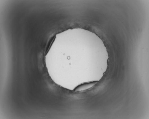 X0000111370144200907311041