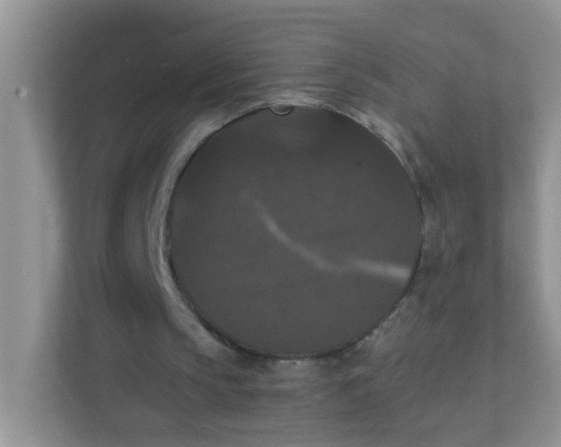 X0000111370145200907311040