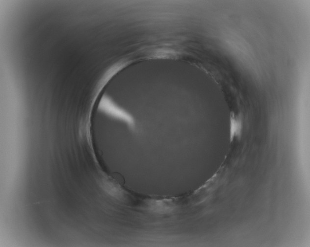 X0000111370147200907311040