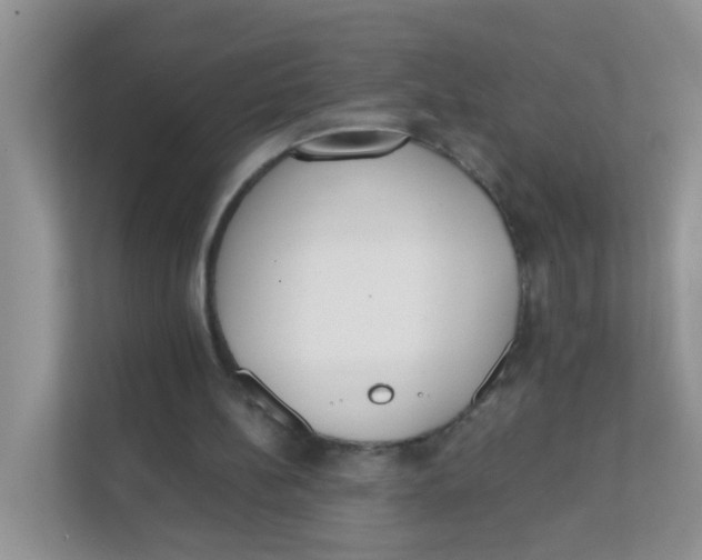 X0000111370148200907311040