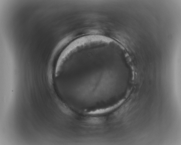 X0000111370149200907311040